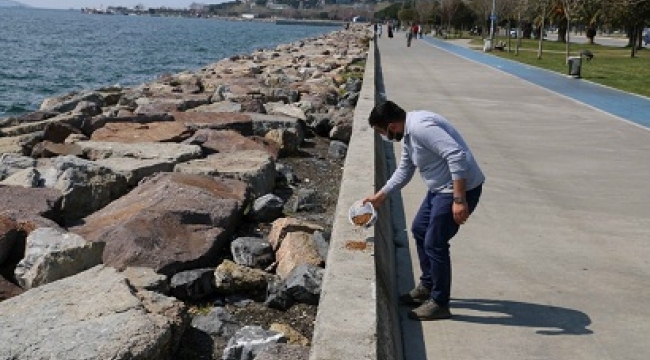 Kartal Belediyesi Kısıtlamada da Sokak Canlarının Yanında