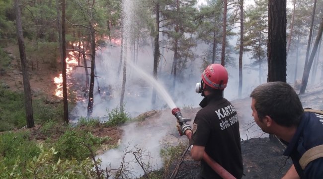 Belediye Ekiplerinin Orman Yangınları İle Mücadelesi Sürüyor