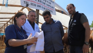 Kartal Belediyesi'nden Kurban Bayramı Öncesi Dev Hazırlık